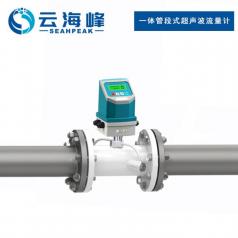 一体管段式超声波流量计-TDS-100Y型   