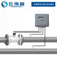 防爆管段式超声波热量表-TDS-100RF2AG型